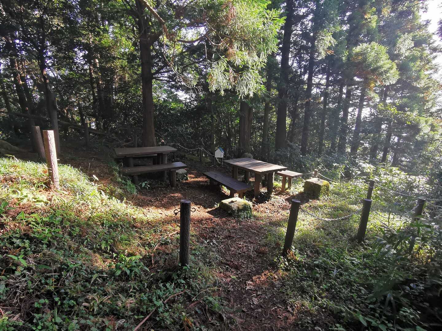 花沢山の写真
