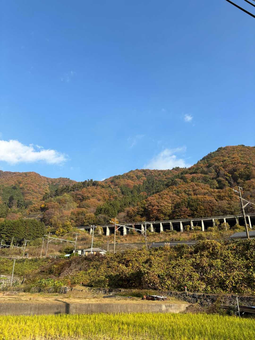 晴れ晴れ！