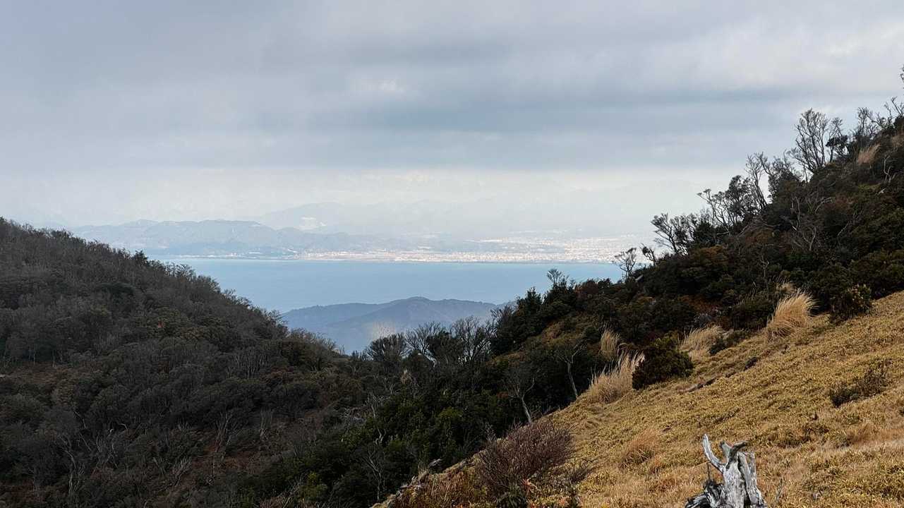 伊豆山陵線トレイル（三蓋山・水呑頭・猫越岳・後藤山・魂の山・棚場山・伽藍山・古稀山・達磨山・小達磨山） の写真 60