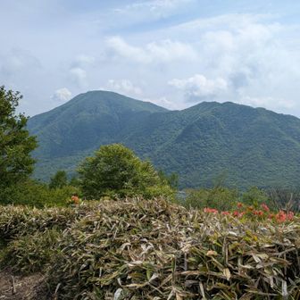 全部見えた