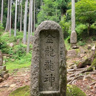 金龍龍神様、この日の見返りは求めませぬが物価高騰、なんとかなりませぬやろか 🙏