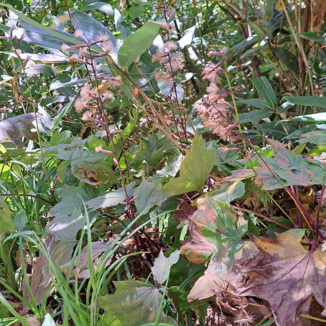 モフモフが可愛い
写真撮ってるから、遅れる？