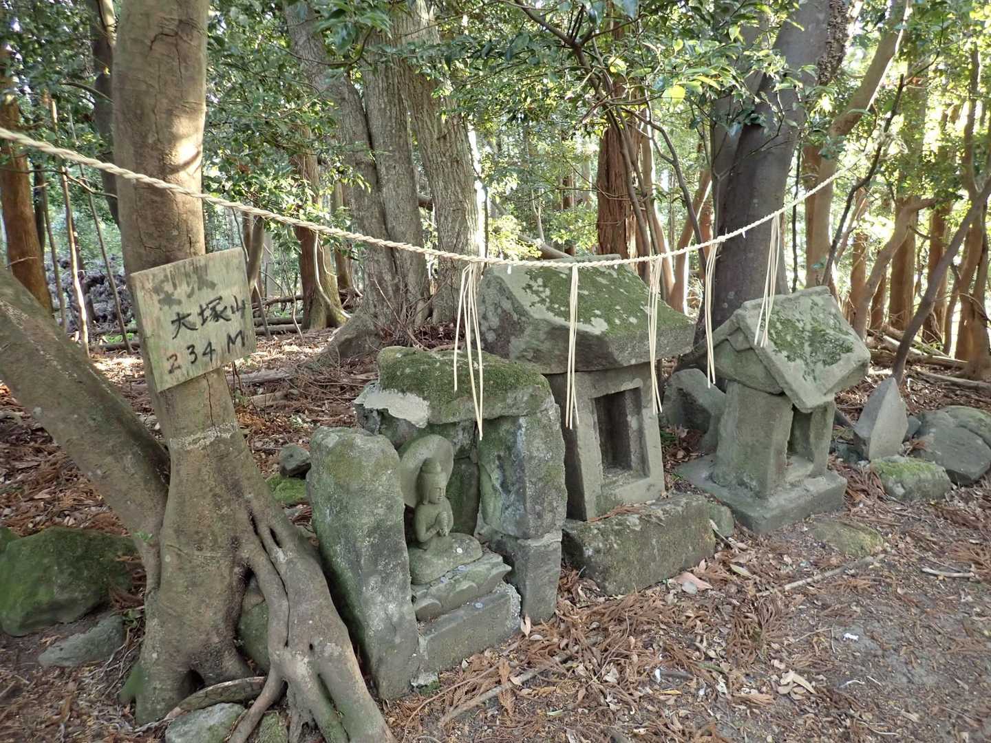 大塚山-三浦三良山-保田見峠-無実山-房州アルプス登山口 周回コースの写真