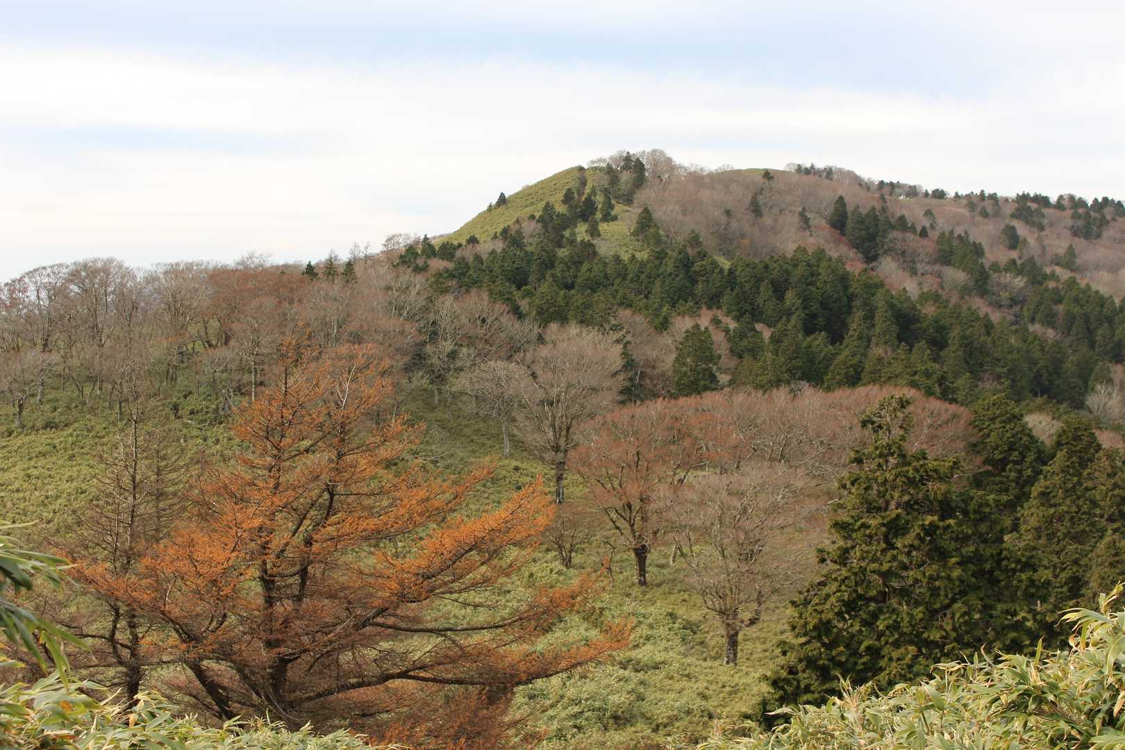 ダルガ峰登り口-ダルガ峰-大海里山-大海里峠-駒の尾山-鍋 往復コースの写真