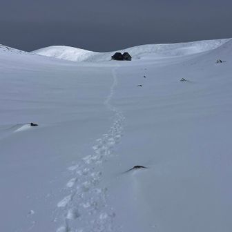 戻ろう。湖の上歩いて落ちないかしらとか心配してたw