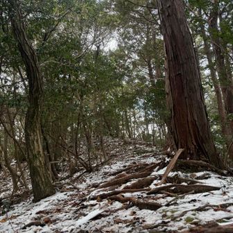 たまに登りかえし！