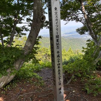 スカイツリー記念。634m😊