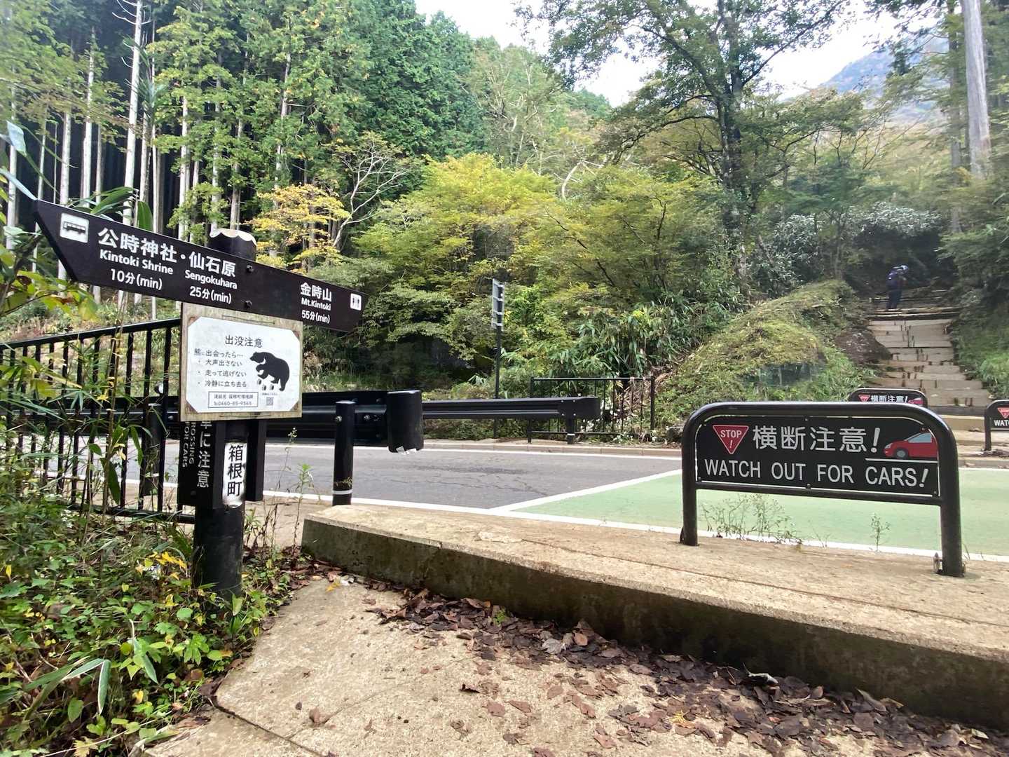 林道横断します
結構車🚗来るので左右確認して渡りましょう
