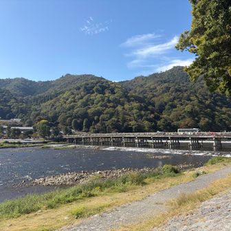 やっと行けました🎶