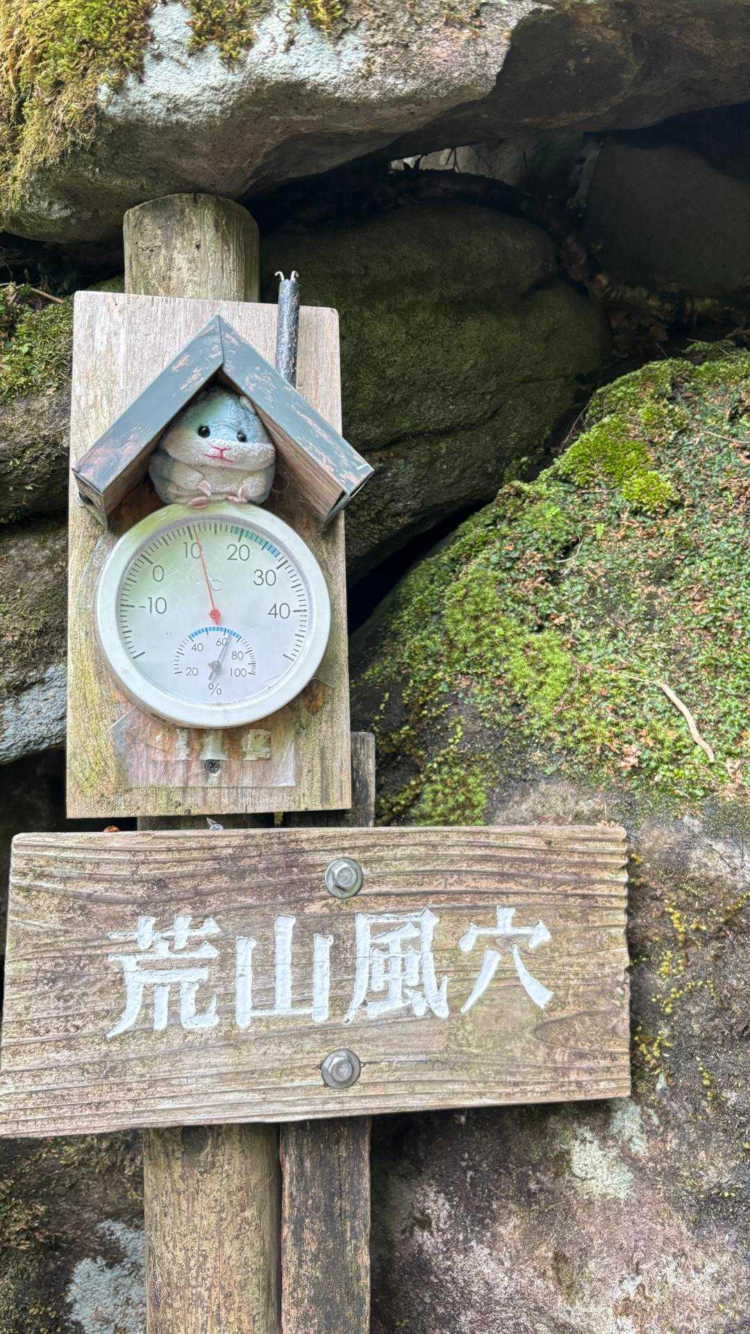 荒山高原登山口-荒山高原-荒山 周回コースの写真