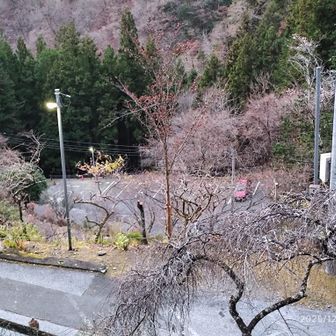 無料の第一駐車場は6時半ごろですが私だけ！