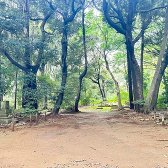 山頂踏んで