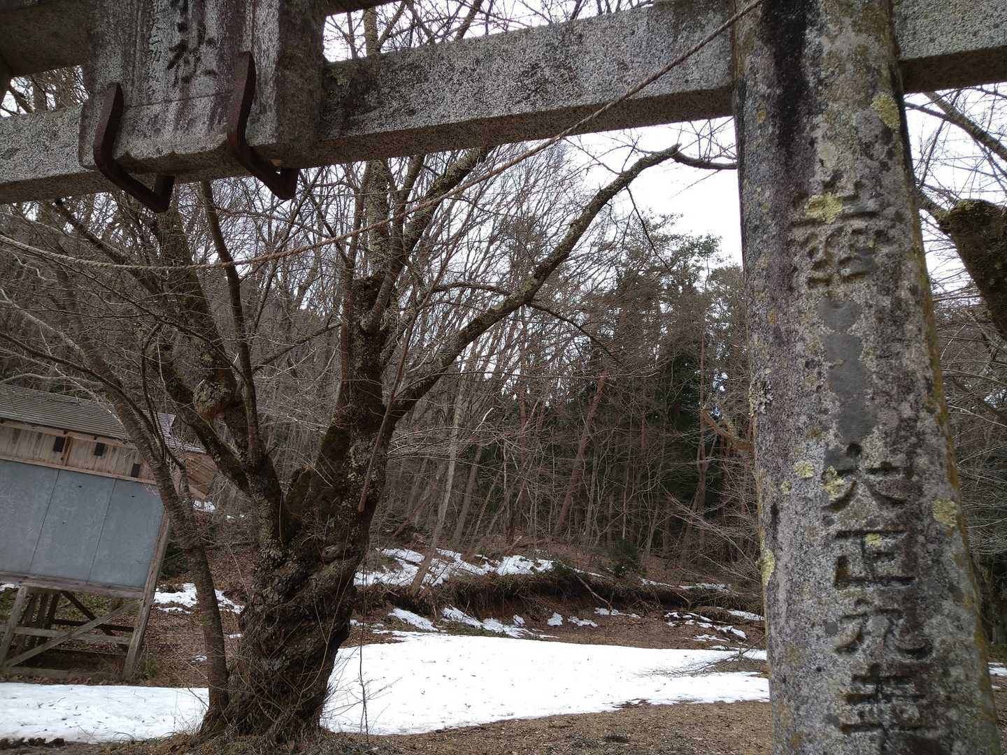 鳥居　大正九年