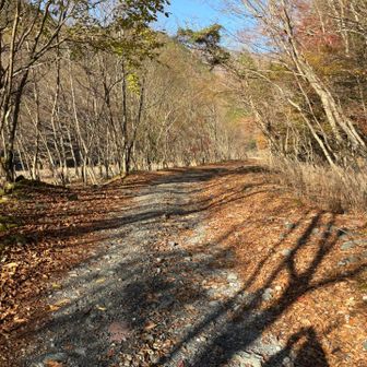 河原の駐車場から林道歩き