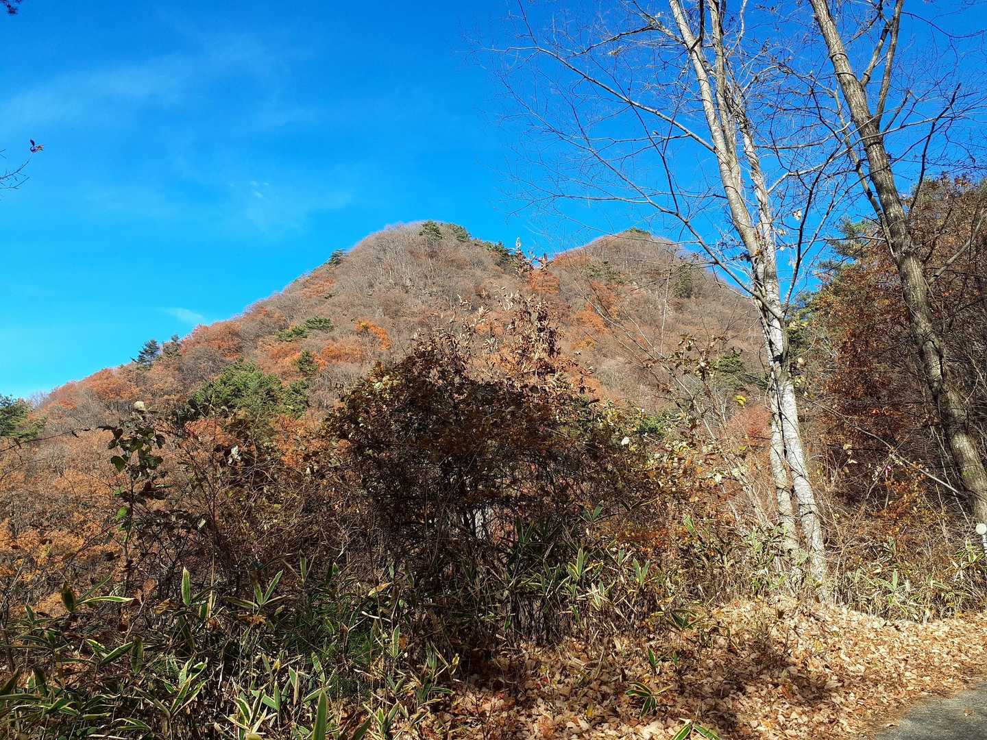 右が王城山頂かな？
