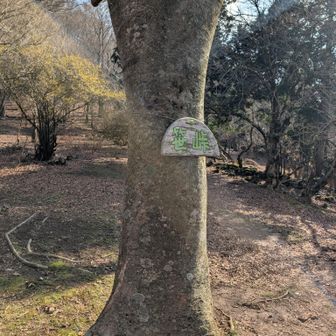 笹峠まで〜きましたょ～(⁠◔⁠‿⁠◔⁠)