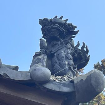 厳つ( *^艸^)ﾌﾟﾌﾟﾌﾟ