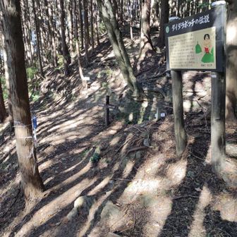 旧定峰峠まで来ました
正面右上の道を上がります