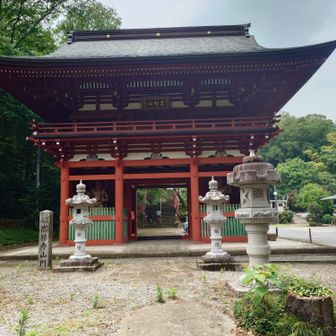 高勝寺。
この後、山頂を探す。
YAMAPみながら歩くがなかなか見つからない。
結局ネットで調べたあるブログから、すでに使われていない塔婆がたくさん置かれている場所に失礼して侵入。笹をかき分けて歩く。
がー、やっぱり見つからず。