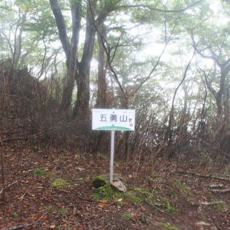 三角点のある場所と山頂標識のある場所が異なる、五勇山。