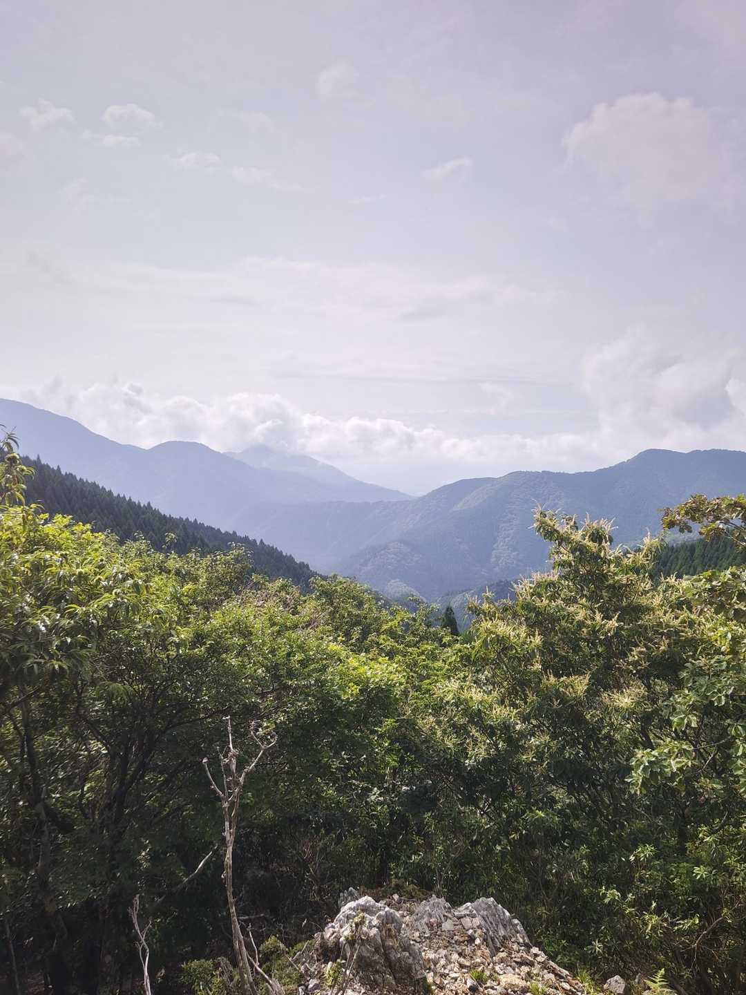 平バス停-平登山口-皆子山 周回コースの写真
