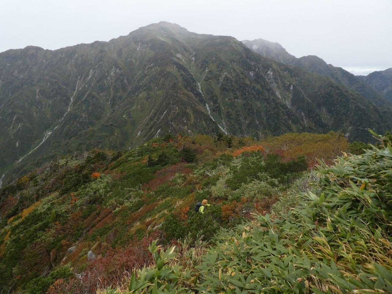 陽が当たったらもっと映えるんだろうなぁ