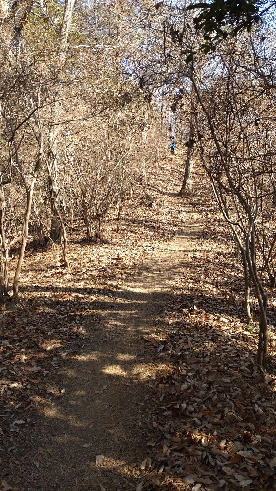 歩きやすい緩斜面が多いです😊
気持ちよく歩けます🥾