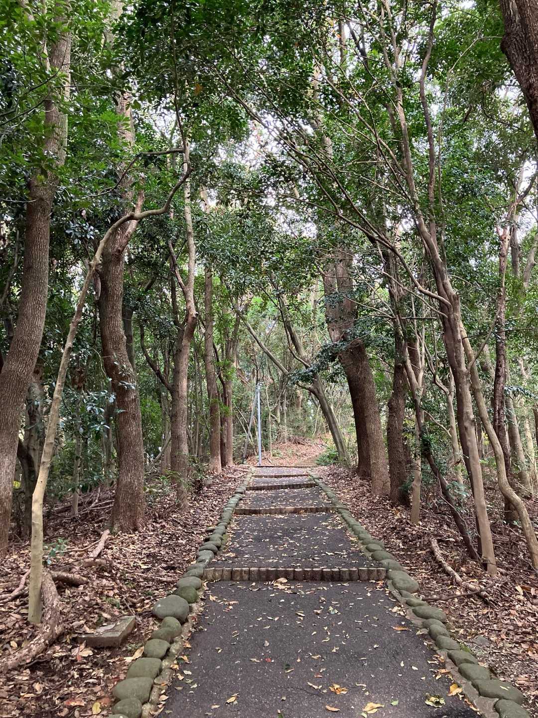 寒いですが、
良い運動になります‼️😊