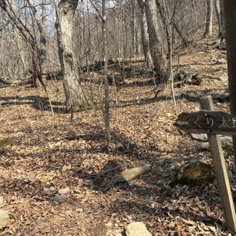 くり太郎って何？