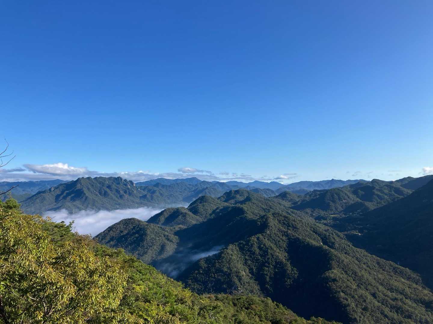 雲海に浮かぶ三倉岳。