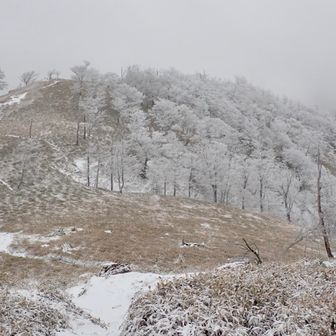 さすがに今日は登る人いなかったな〜って思ってたら、二人組のお兄さんに出会いました