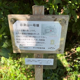 古墳の真上なのね
やつやまって読むのね！