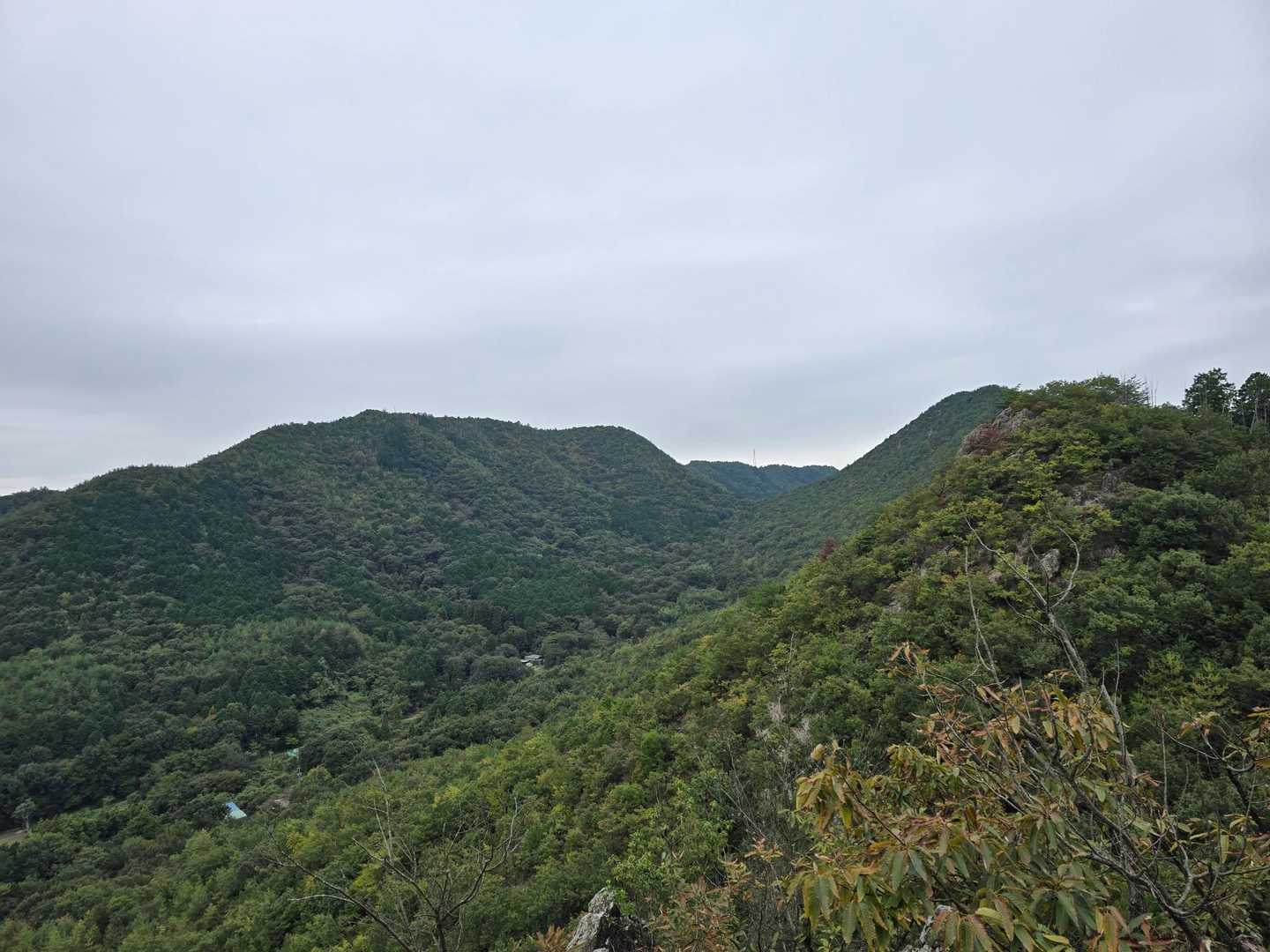 前どんぐりの風景