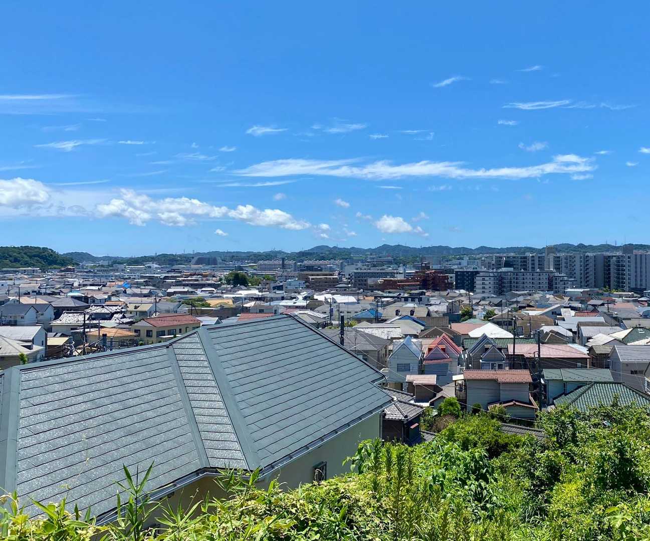 藪漕ぎした甲斐があった