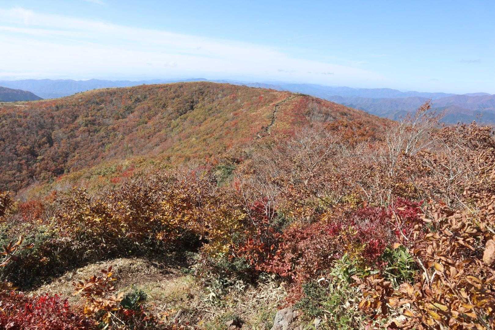 立烏帽子山-池ノ段 往復コースの写真