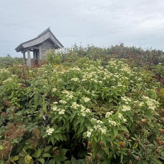 山頂付近のココでランチ🍙