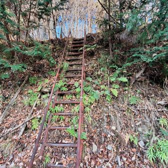 ここから破線ルートになります。