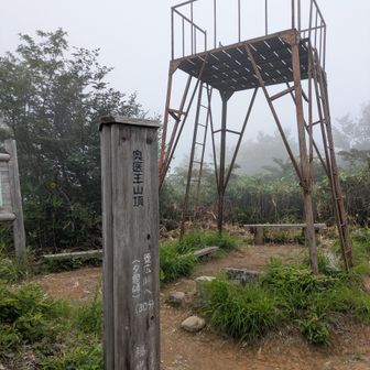 奥医王山🙌
ガッスガス🤣