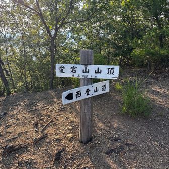 愛宕山山頂到着！
八木山から愛宕山まで、心地よい風でつながっていました❤️ 
山を教えていただいたおかげで、いろいろな人と出会うことができました😊

かぜ〜が　さそ〜うこのや〜ま〜は〜
わたしとだれかをあ〜いでつな〜いで〜♪