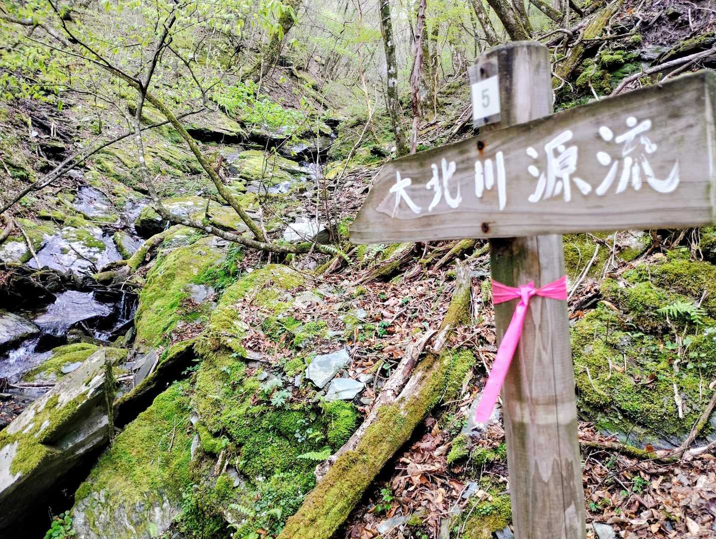 大北川源流に着きました👀