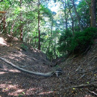 切通しの様に両サイドはかなり急です。
結局時間を考えると、登山口に戻る時間が３時半を過ぎそうなので…戻ります