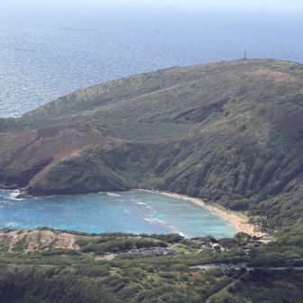 ハナウマベイが見える