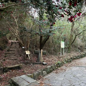 鹿谷寺からスタート！