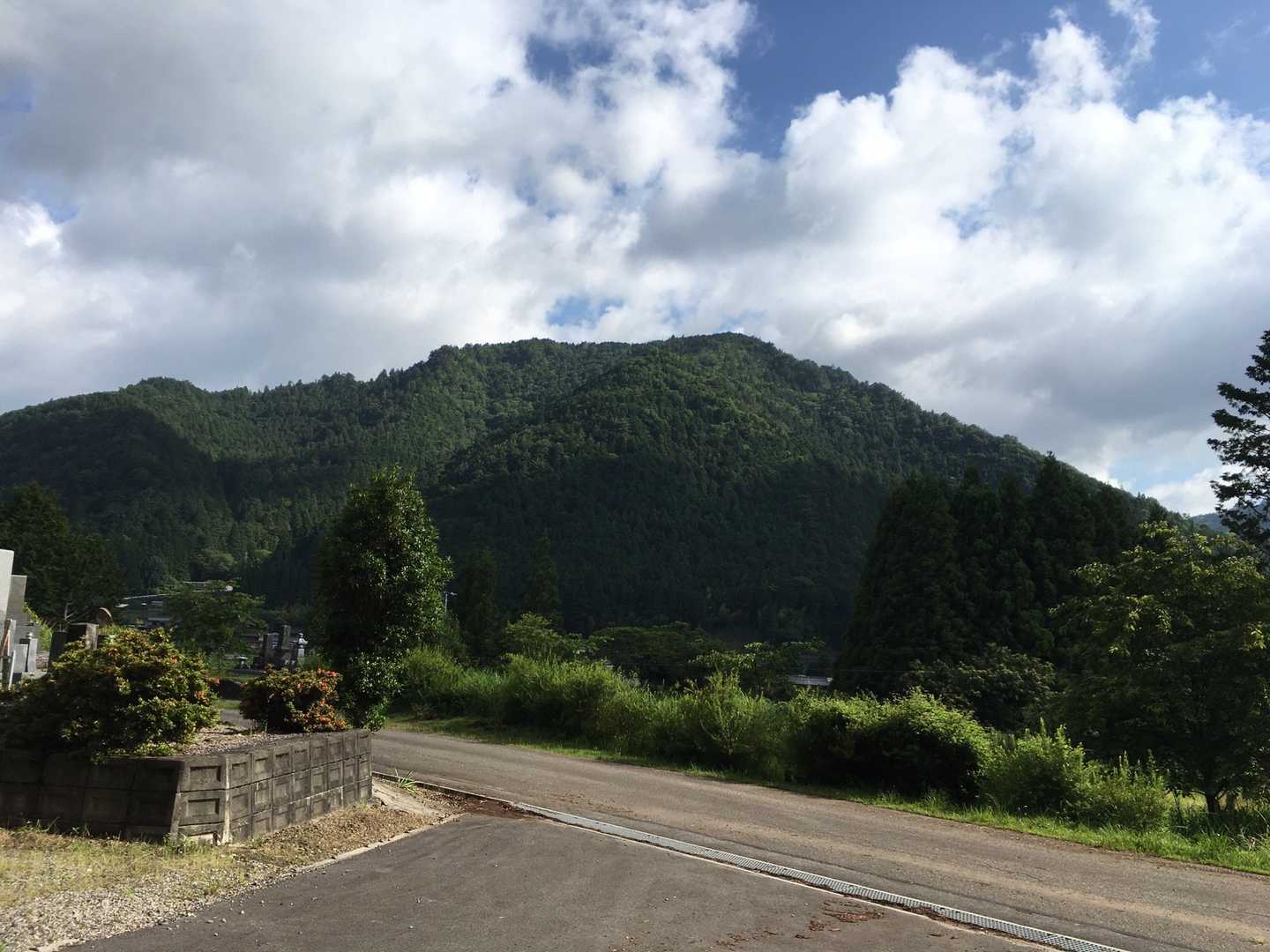 向かいには白鳥山⛰