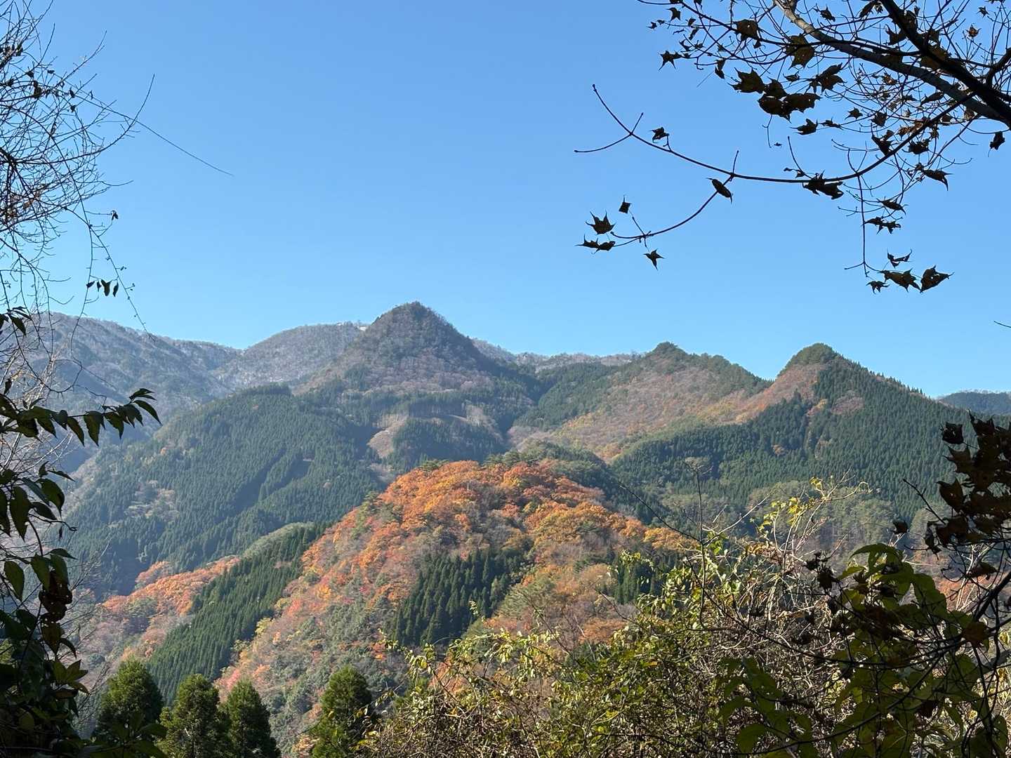 稲積山⛰️手前の紅葉が綺麗🍁