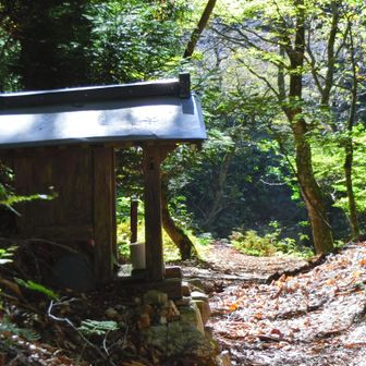 オグロ坂峠からお地蔵さんの祠を過ぎてすぐ右折、峰床山方面へ。