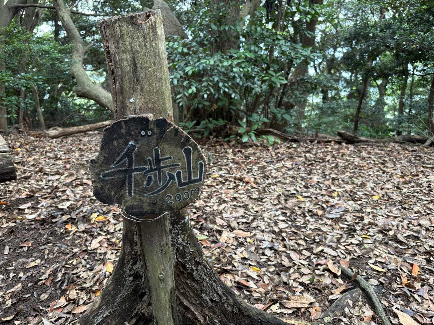 千歩山
