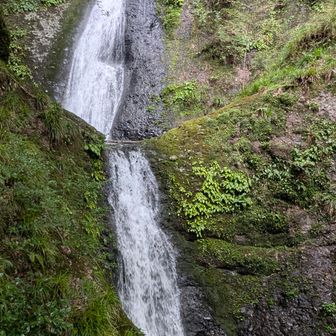 階段最上部から上部2段の滝を見る。
阿寺の七滝もしっかり見たので帰ろう
