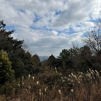 右折したら、この風景で、眺望はわずか。こちらは頂上ではなかった。