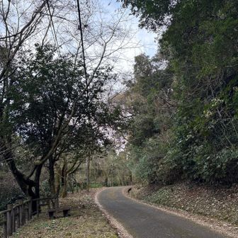 車道を駐車場🅿️に向かいます😄